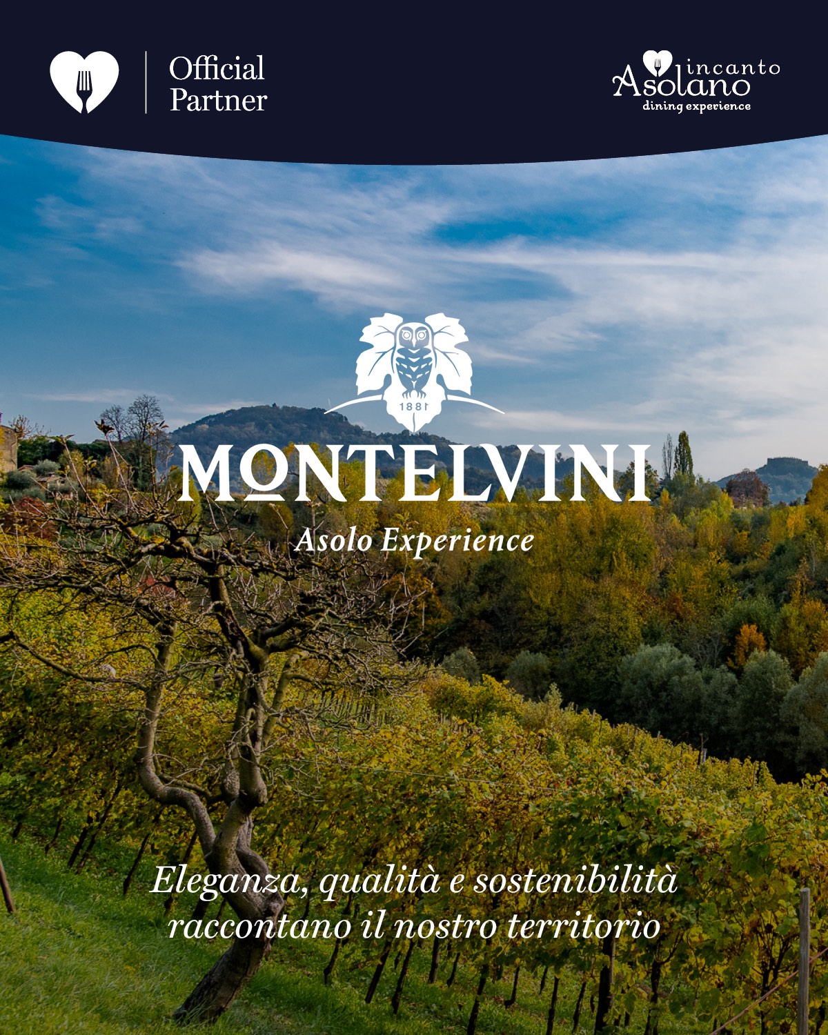 Partner ristorante 5